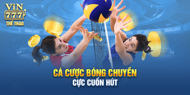 Cá cược bóng chuyền đầy sôi động, cuốn hút